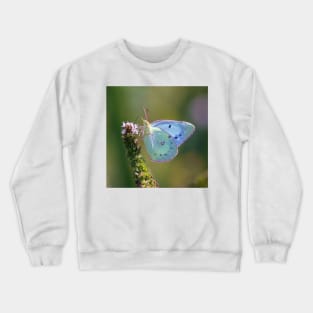 blue butterfly Crewneck Sweatshirt